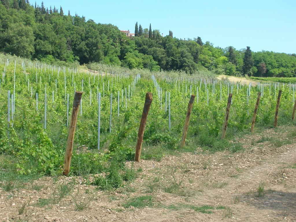 Podere Ghiole Montespertoli Ngoại thất bức ảnh