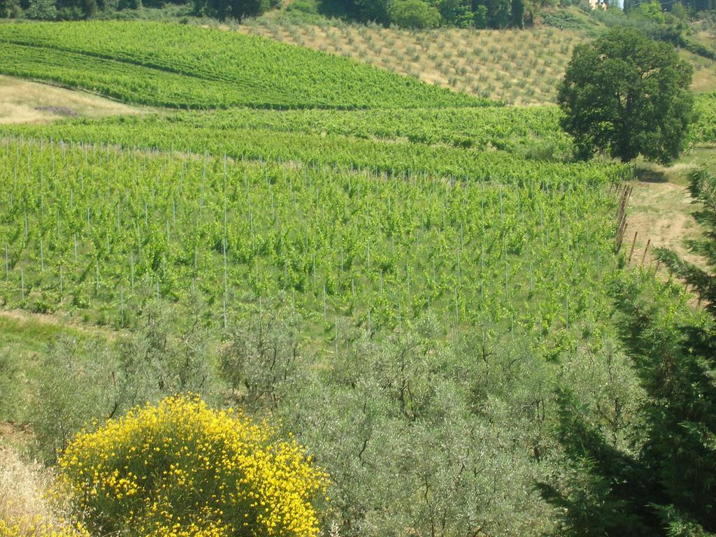 Podere Ghiole Montespertoli Ngoại thất bức ảnh
