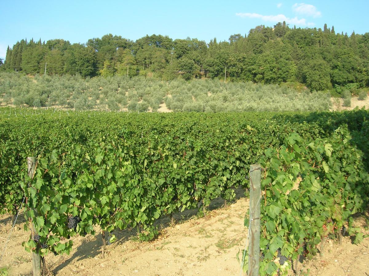 Podere Ghiole Montespertoli Ngoại thất bức ảnh